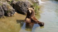 Въпреки тежката ситуация в Одеса директорът на зоопарка в града