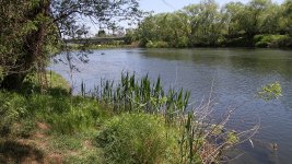 Издирват изчезнало в река Марица 9-годишно дете