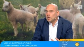 Агнешкото месо стана лукс и остава мираж за още 20 хил. български семейства