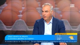 Българските яйца са сред най-евтините на едро в Европа, потребителите търсят домашните