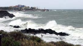 Наркотици, опаковани като чай, заливат бреговете на Южна Корея