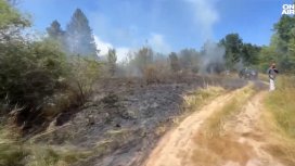 150 декара сухи треви и храсти горят край Годеч (+ВИДЕО)