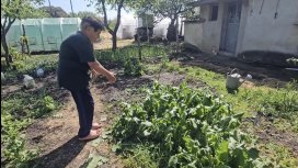 Опасно време: Градушки унищожиха реколта в няколко области