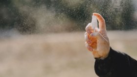 Напаст от комари: Как да се предпазим и да използваме правилно репелентите