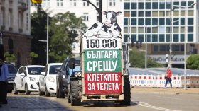 200 доброволци влизат в клетка пред парламента заради съдбата на телетата