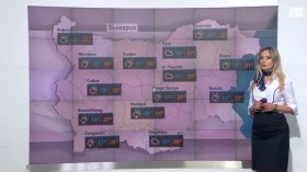 Централна прогноза