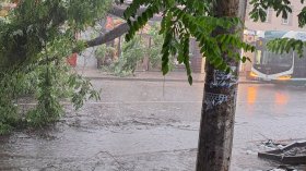 Паднали дървета, наводнени улици, закъсали тролеи: Буря с обилни валежи в Стара Загора
