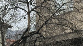 В тежко състояние остава удареният от клон мъж в Сливен
