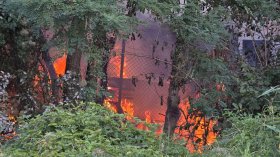 Експерт посочи какво да направим, за да избегнем големи пожари в страната