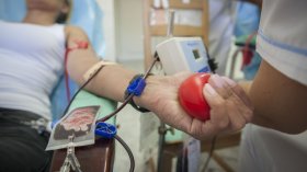 Броят на кръводарителите се увеличава, но кръвта остава недостатъчна