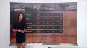 Централна прогноза