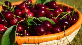 Какво се прави на Черешова задушница?