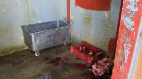 Разкриха незаконна кланица в Симеоновград, откриха близо 500 кг месо без документи