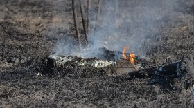 Горят 15 декара отпадъци и сухи треви край Дупница