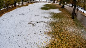 Времето в неделя: Облаци, дъжд и сняг