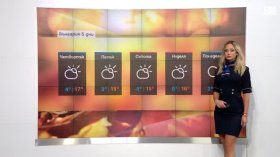 Централна прогноза