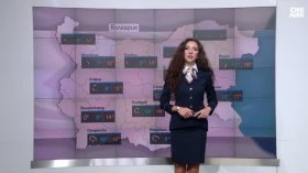 Централна прогноза