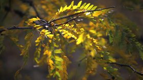 Температури до 13 градуса днес и слънчеви дни след сряда