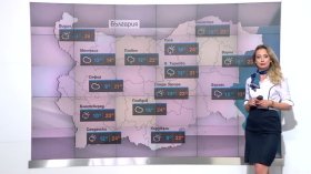 Централна прогноза
