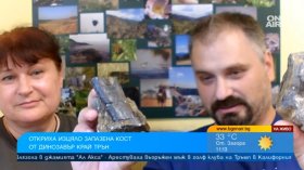 Костта на динозавър край Трън - откритие на 83 млн. години, даващо отговори на важни въпроси