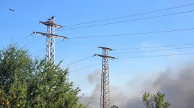 Пожарът край Бобошево е овладян