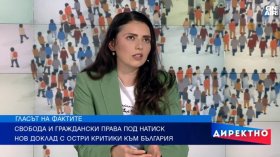 От "делата-шамари" до домашното насилие: Тревожната картина за България