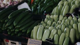 Тиквичките поскъпнаха рязко, зелето отчете най-голям спад в цената