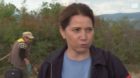 Неподдържани имоти и висока трева са улеснили разпространението на пожара край Михилци