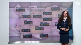 Централна прогноза