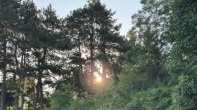 Двама души са открити мъртви в Стара планина