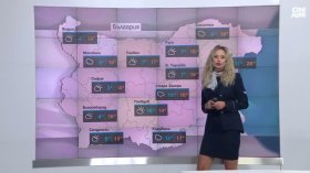 Централна прогноза