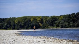 Засушаването на Дунав ще продължи, Европа е изправена пред сериозен воден проблем
