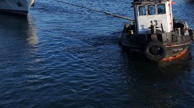Дунав защитава Черно море край България от замърсяване заради войната