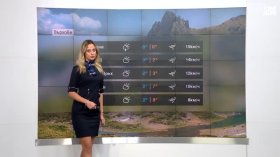 Централна прогноза