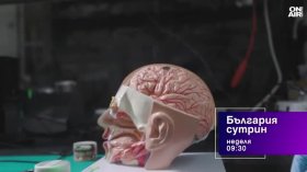 В "България сутрин" на 17 май от 09:30 часа: Как да опазим мозъка си и да не остаряваме?