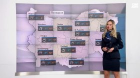 Централна прогноза