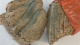 Мухлясъл хляб, опасно пиле: Сигнали към БАБХ през Helpbook