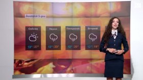 Централна прогноза