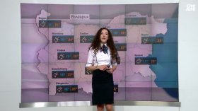 Централна прогноза