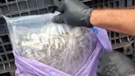 Прокуратурата настоява за постоянен арест на шофьора, хванат с дрога за 15 млн. евро в Бургас