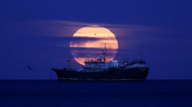 Последната Суперлуна за годината освети зимното небе (+СНИМКИ)