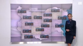 Централна прогноза