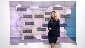 Централна прогноза