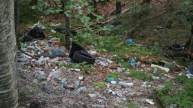 Вековната гора край Петрохан вече е незаконно сметище