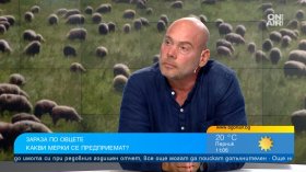 Шарката по овцете се разраства, искат спешна ваксинация в Южна България