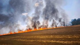 Опасни горещини: Въвеждат ограничения в Стара Загора заради риск от огнена стихия