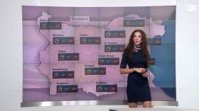 Централна прогноза