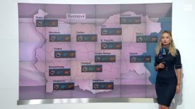 Централна прогноза