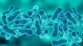 Четвърти починал от легионелоза в Ню Йорк при 76 заразени