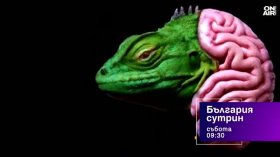 В "България сутрин" на 24 октомври от 09:30 часа: Как да тренираме паметта си?